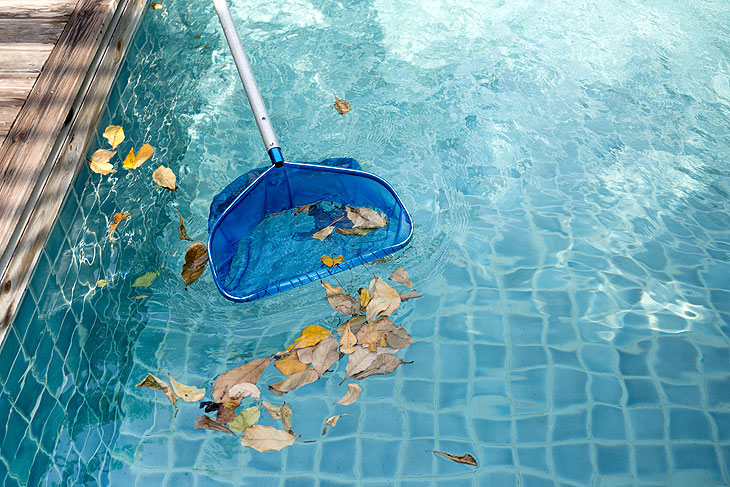 Mit einem Kescher kann man den Pool von Laub und Insekten reinigen (©Foto:: iStock Bignai)